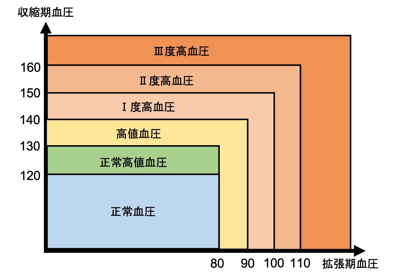 【2026年最新】突然の血圧跳ね上がりに即効アプローチ 専門医が明かす「1分間のツボ刺激」と自律神経リセット術