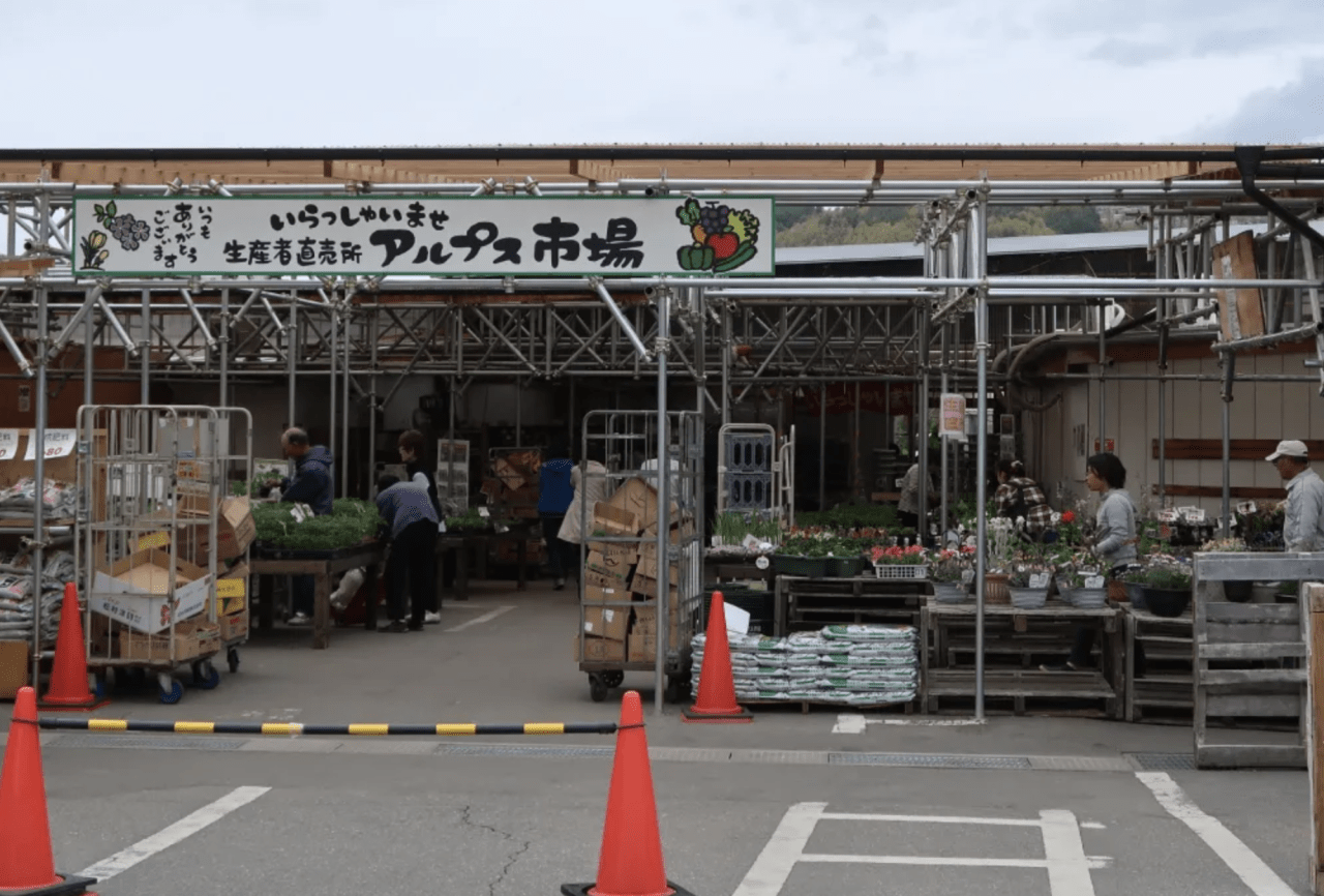 松本市アルプス市場の人気の秘密！新鮮野菜と混雑回避の裏ワザ