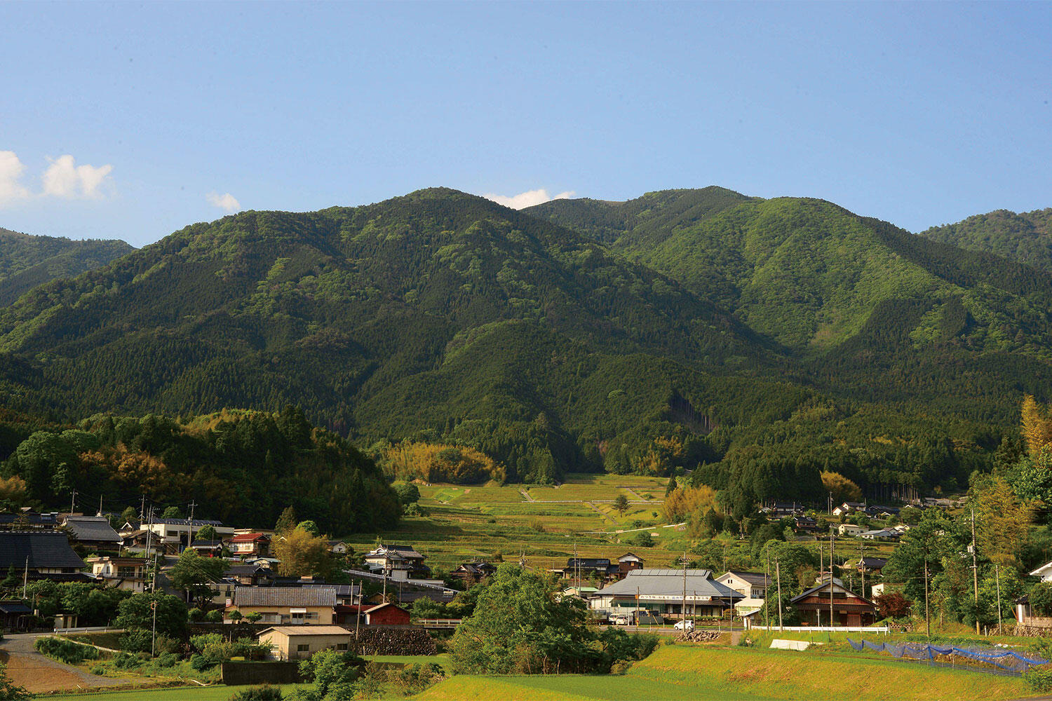 宮本武蔵の秘話と極上温泉！美作市を五感で楽しむ感動の観光旅