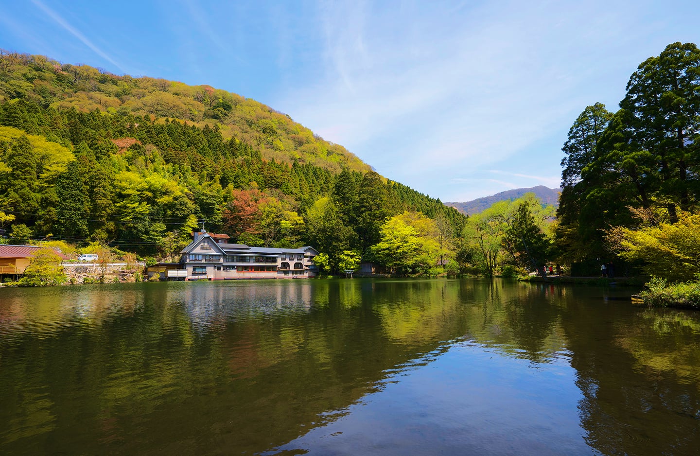 2026年最新：由布院の奇跡「金鱗湖」朝霧に包まれる幻想の極上体験と旅の知恵
