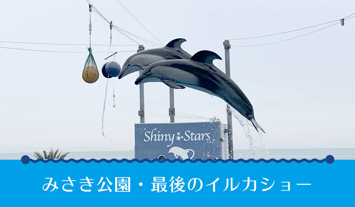みさき公園のイルカは今どこに？閉園後の移籍先と現在の姿を徹底追跡
