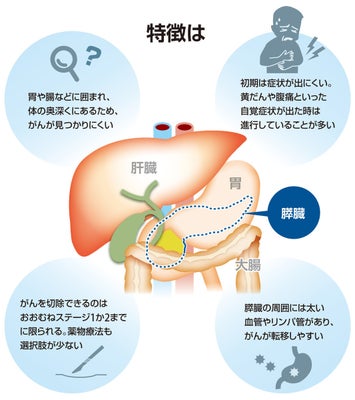 【プロフィール】 消化 試合 と は 最新ニュース速報 2026 #871