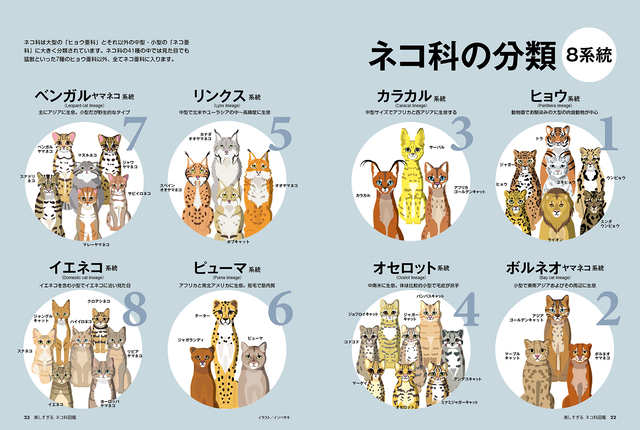 「ネコ」の言葉に隠された驚きの意味！語源から深層心理まで徹底解剖