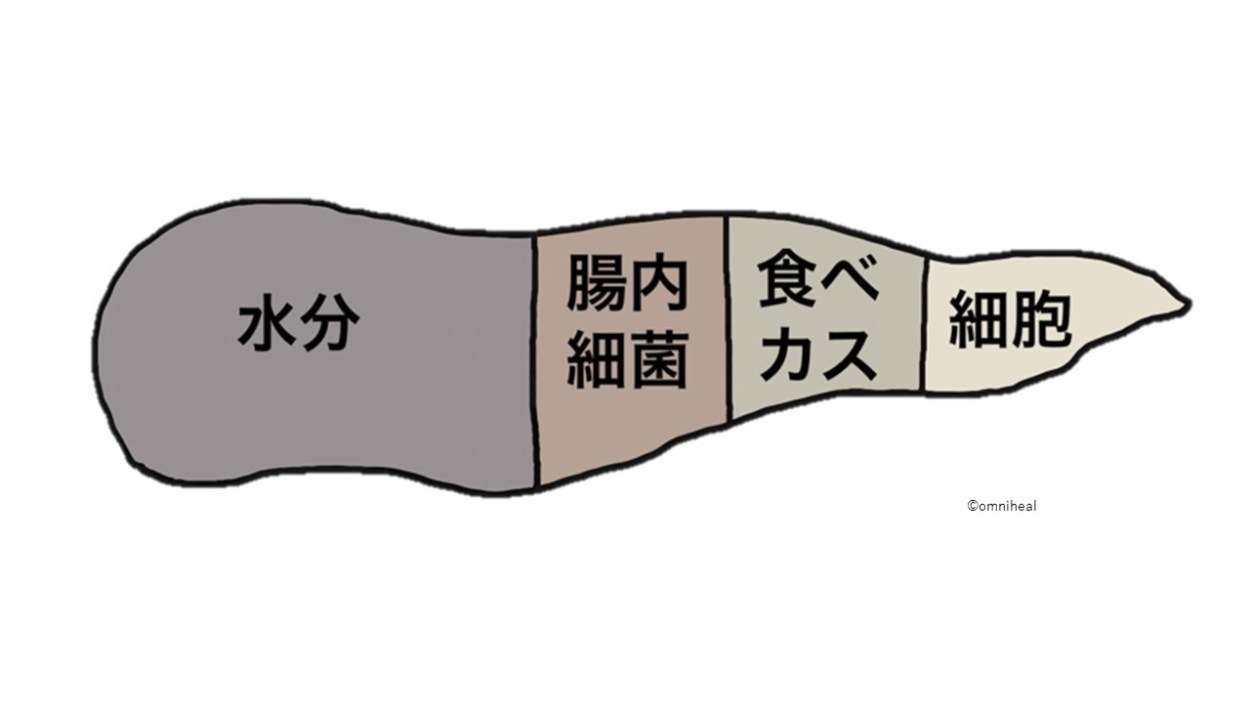 【2026年最新】うんかすの意味と元ネタを徹底検証