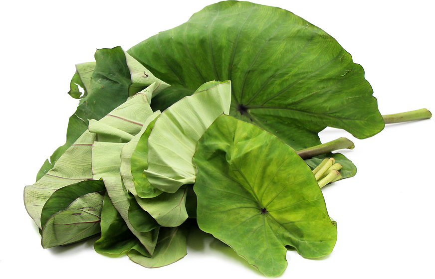 Are Taro Leaves Edible