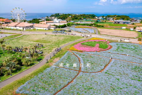 【衝撃】 長井 海 の 手 公園 ソレイユ の 丘 最新出演情報まとめ #915