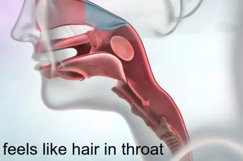 Feeling of Hair in Back of Throat