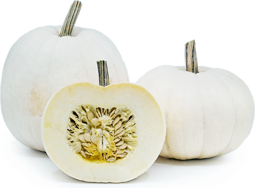 Are Seeds from White Pumpkins Edible