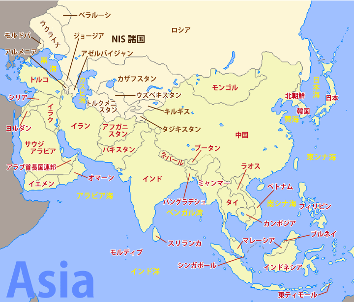 ホーバスジャパン決戦！アジアの頂点を掴む最新戦力と試合攻略