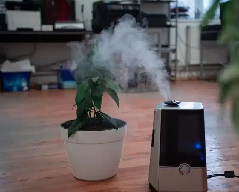 Can You Use Spring Water in a Humidifier