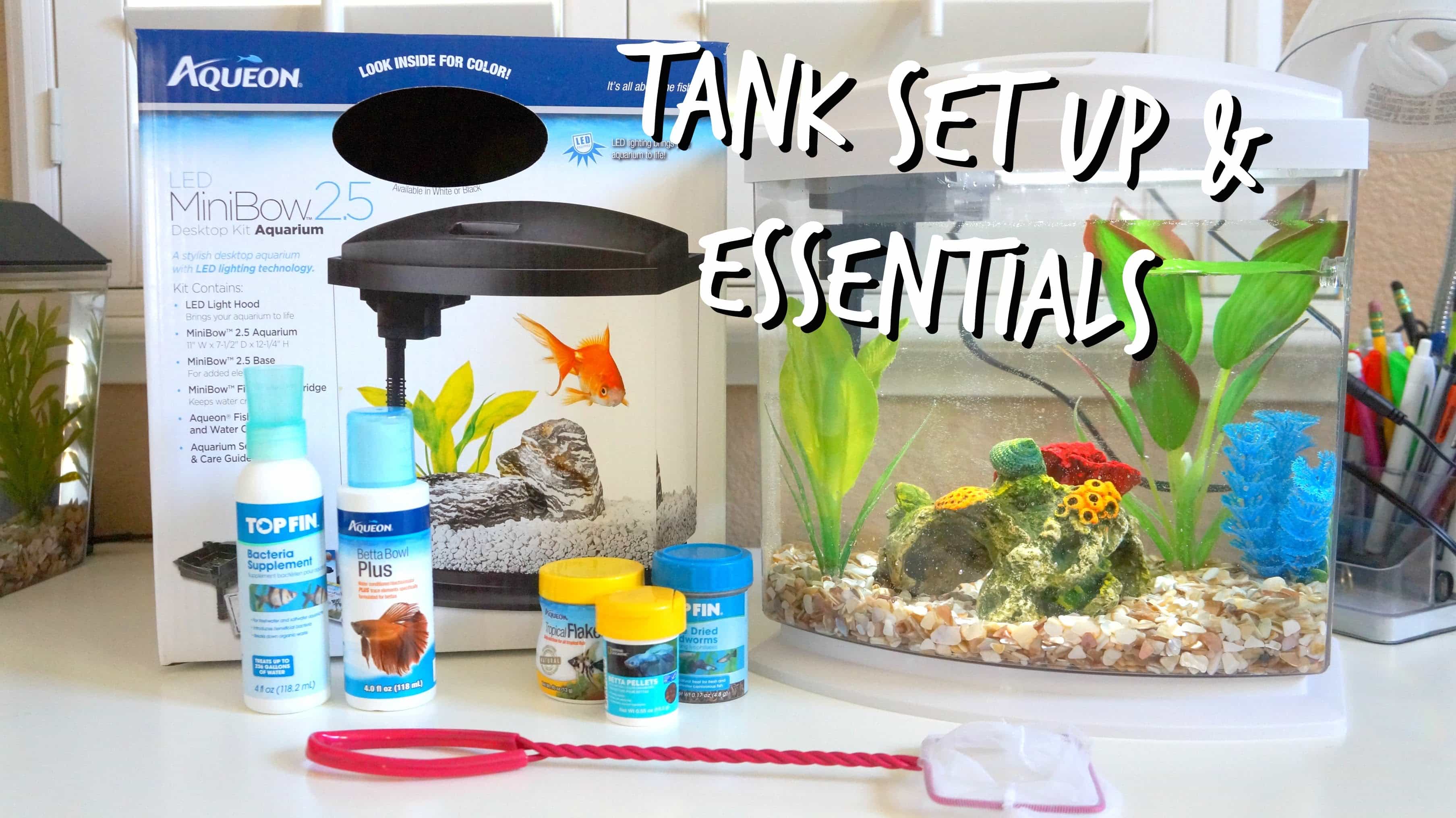 How to Prepare Water for Fish Tank