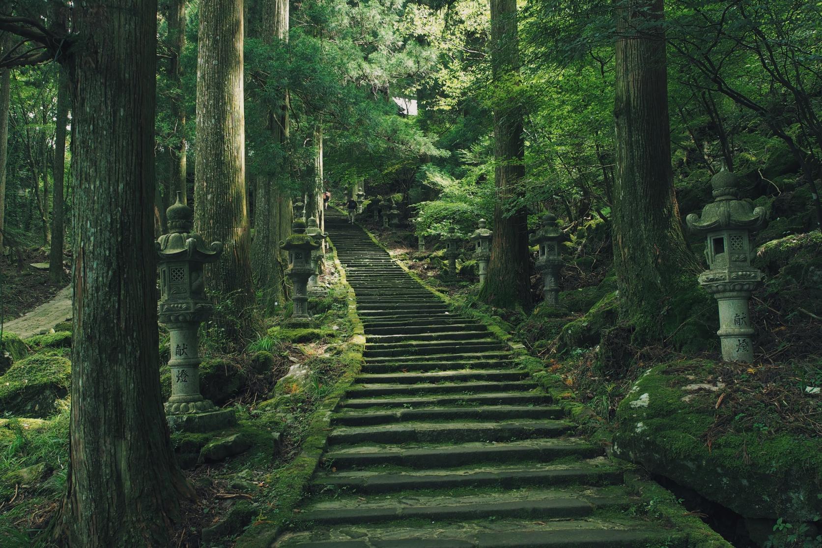 福岡・英彦山の巨岩に宿る高住神社｜豊前坊天狗の伝説と参拝の要点を解明
