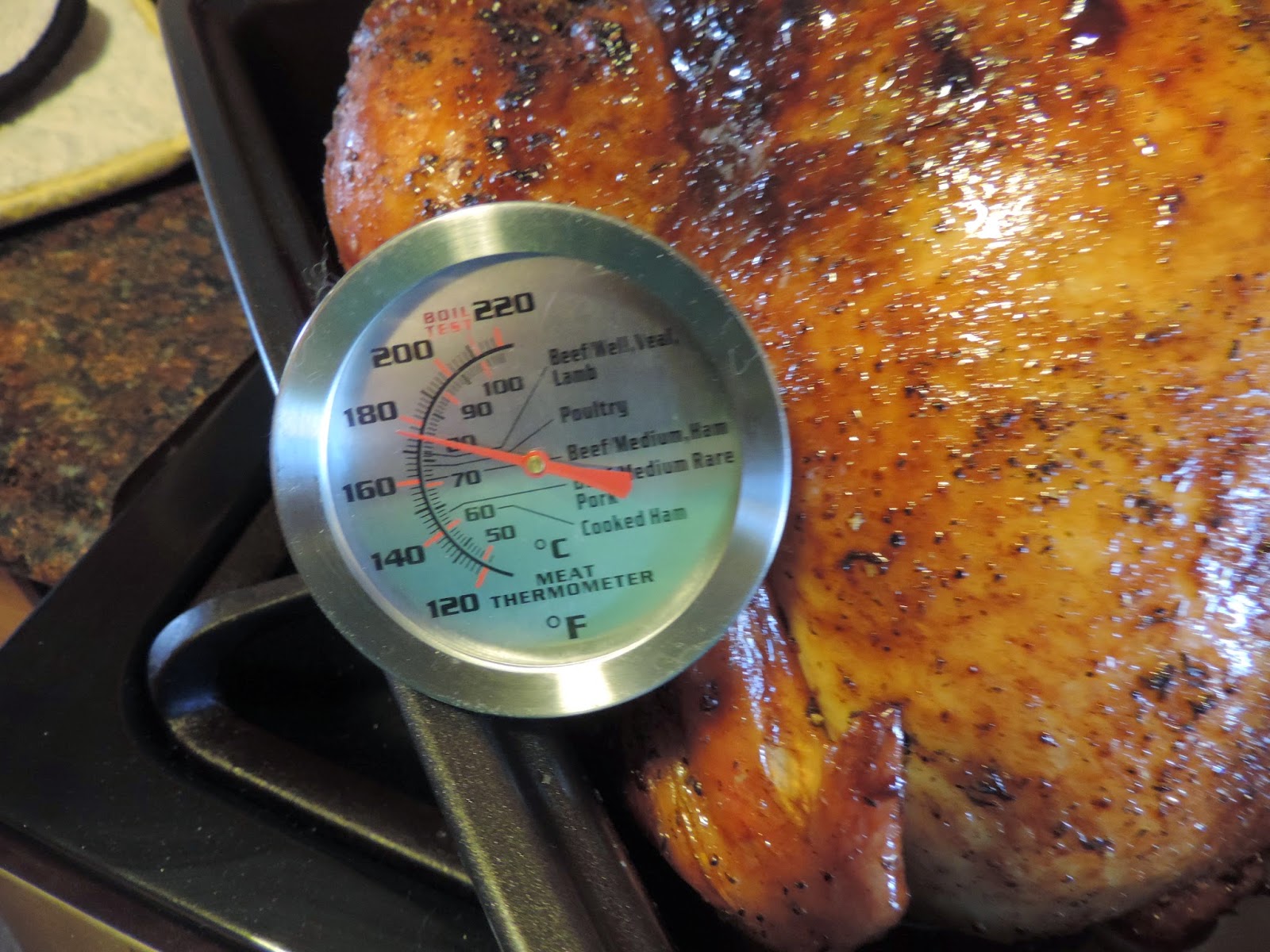 Internal Temperature for Roast Turkey