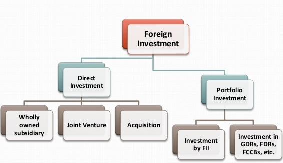 Foreign Direct Investment Flows