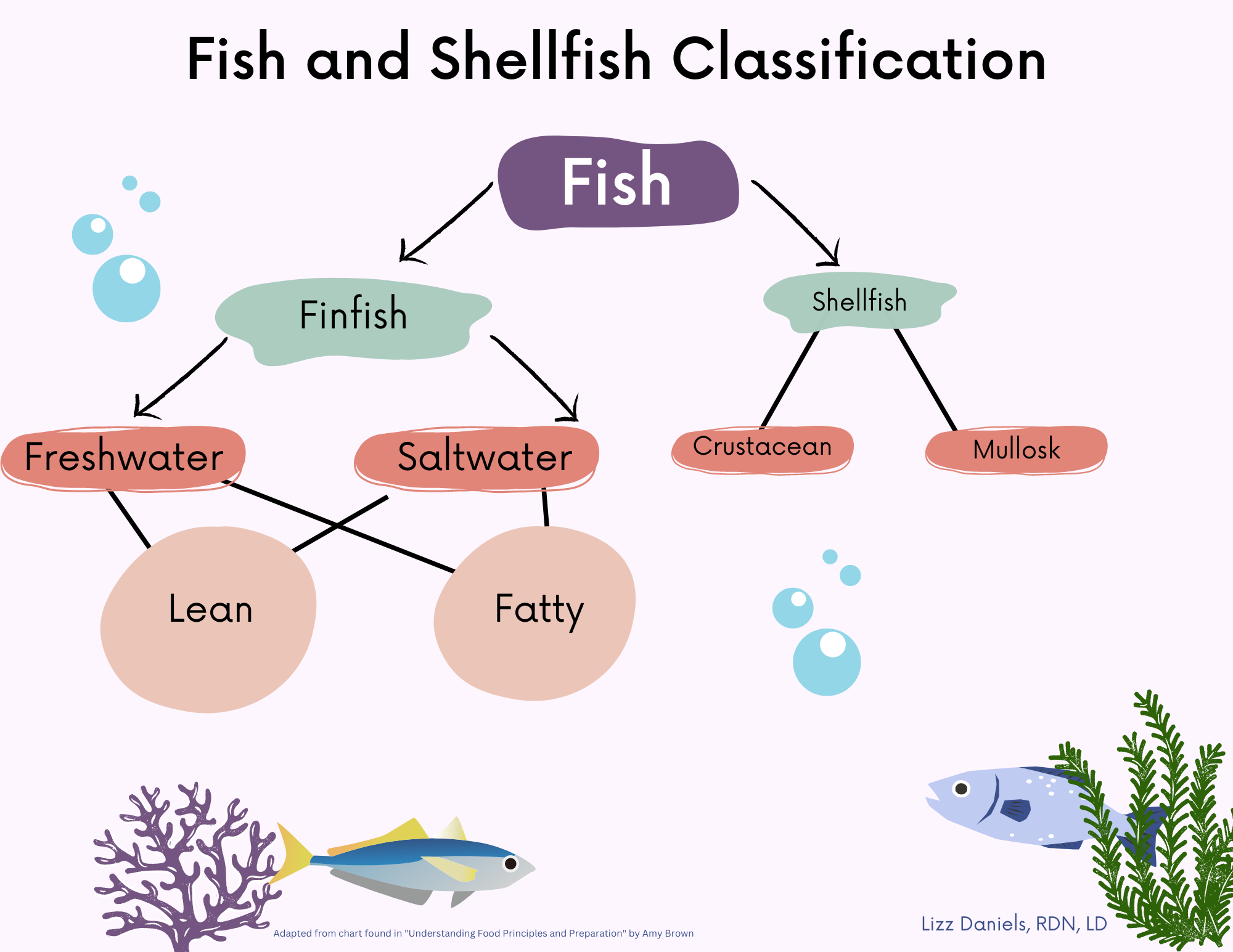 What Are the Classification of Fish