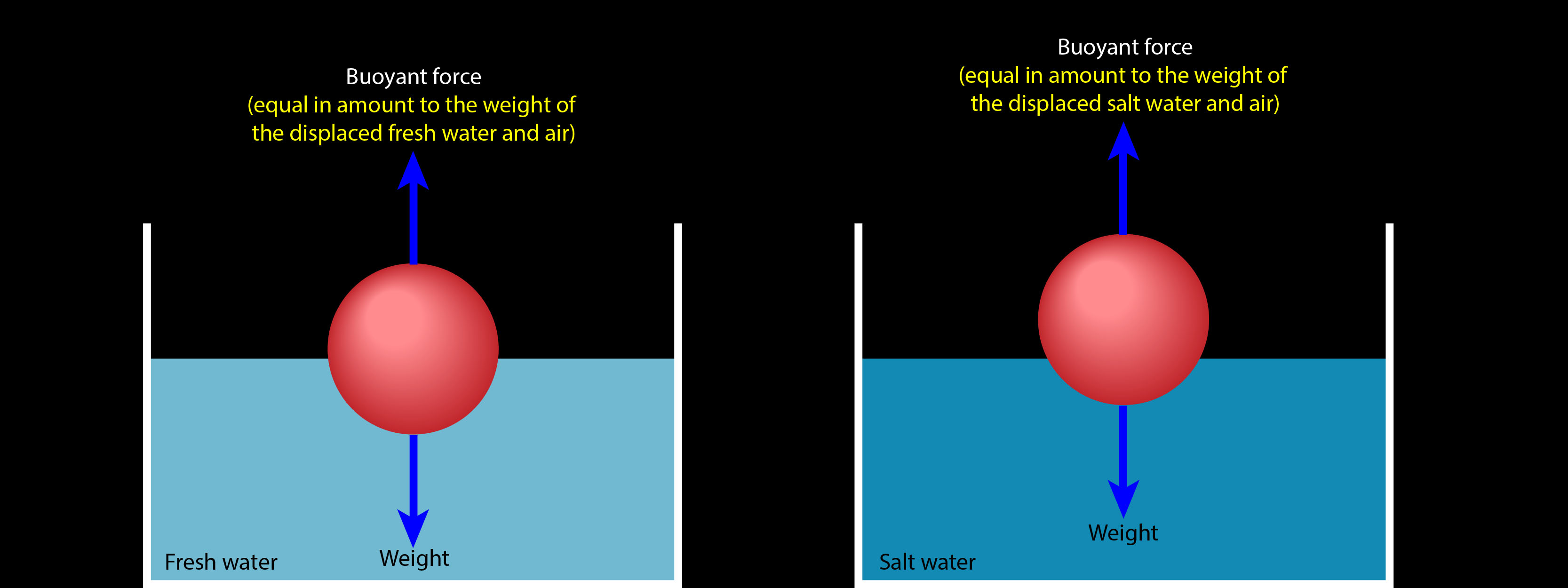 Is It Easier to Float in Saltwater or Freshwater