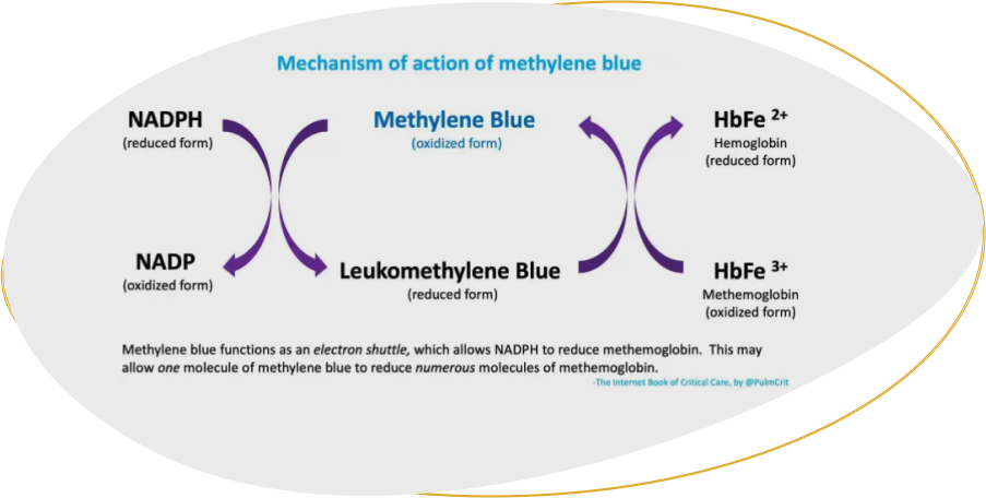 Does Methylene Blue Kill Parasites in the Brain