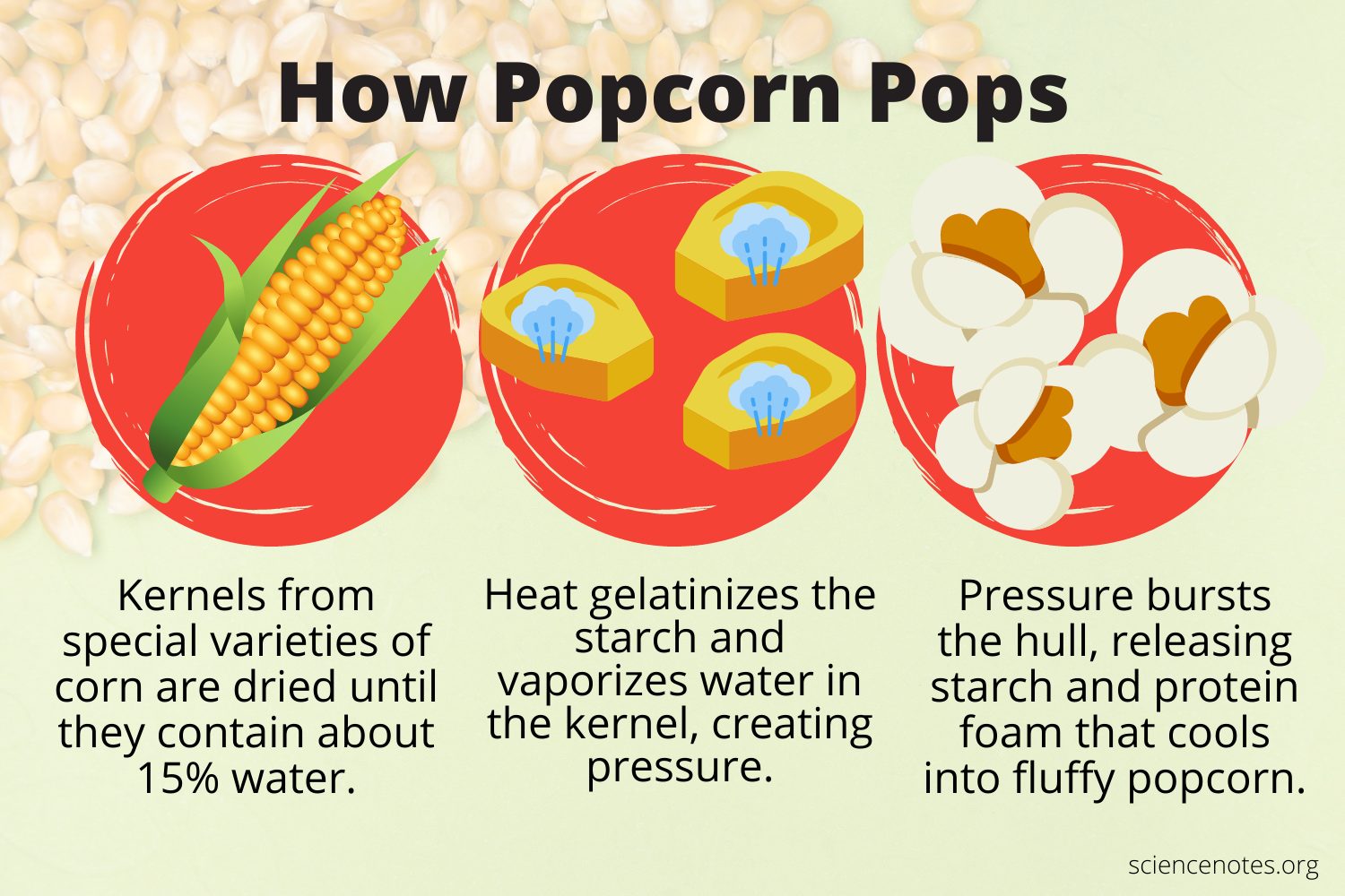 What Is Popcorn Kernels Made Of