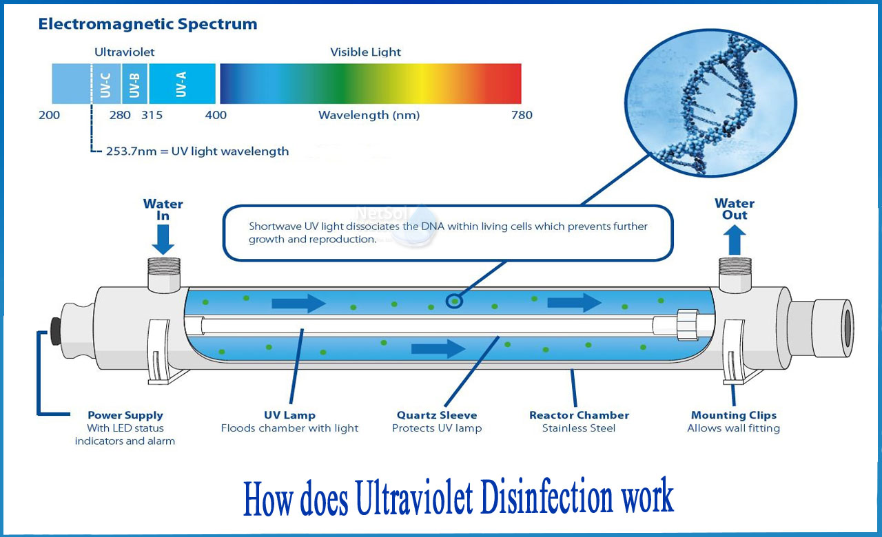 Ultraviolet Disinfection System for Treating Protozoa