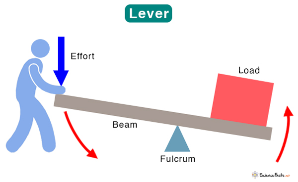 What Does a Lever Look Like