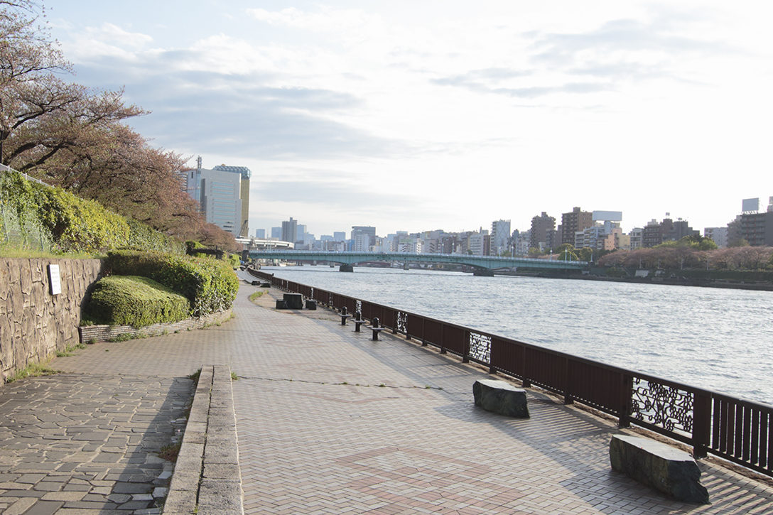 2026年最新版：夜の東京で手持ち花火を楽しむ！厳選スポットと知っておくべき最新ルール