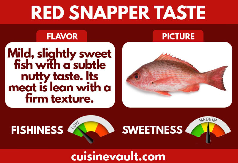 What Does Snapper Fish Taste Like