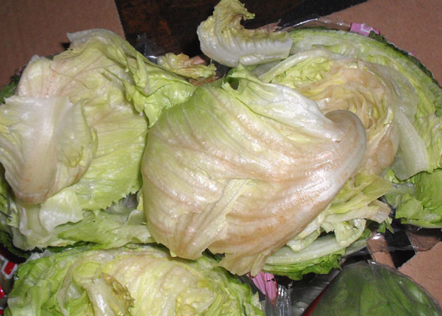 If Lettuce Is Brown Is It Bad