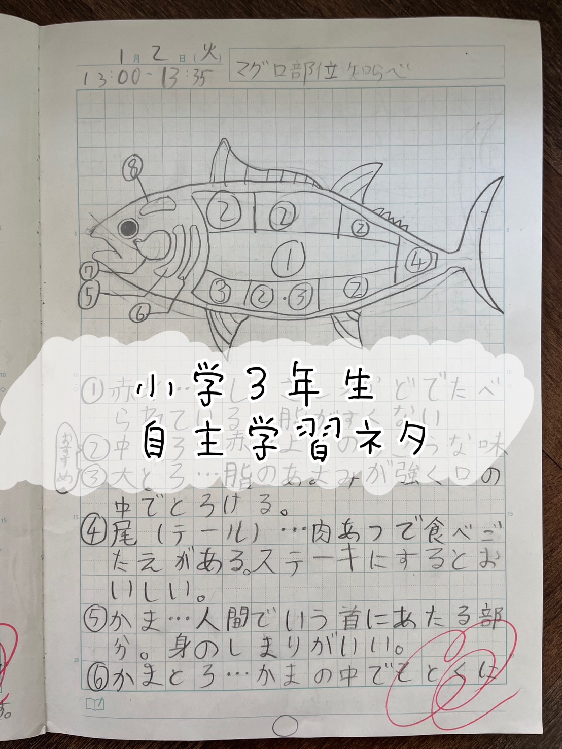 小3自主学習ネタ決定版！10分で高評価を得る2026年最新テーマ一覧