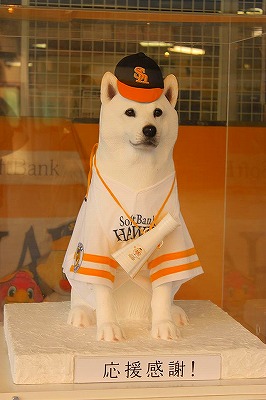 【最新】 ソフトバンク 犬 の 声 人気理由と評判まとめ #733