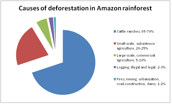 What Are the Causes of Deforestation in the Amazon Rainforest