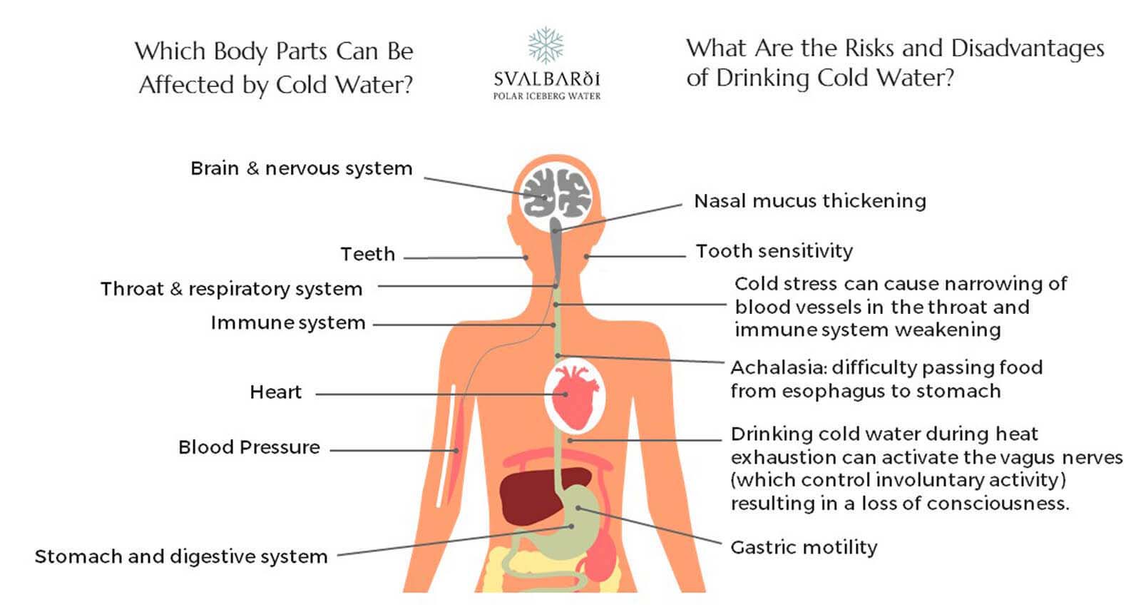 Does Cold Water Slow Metabolism