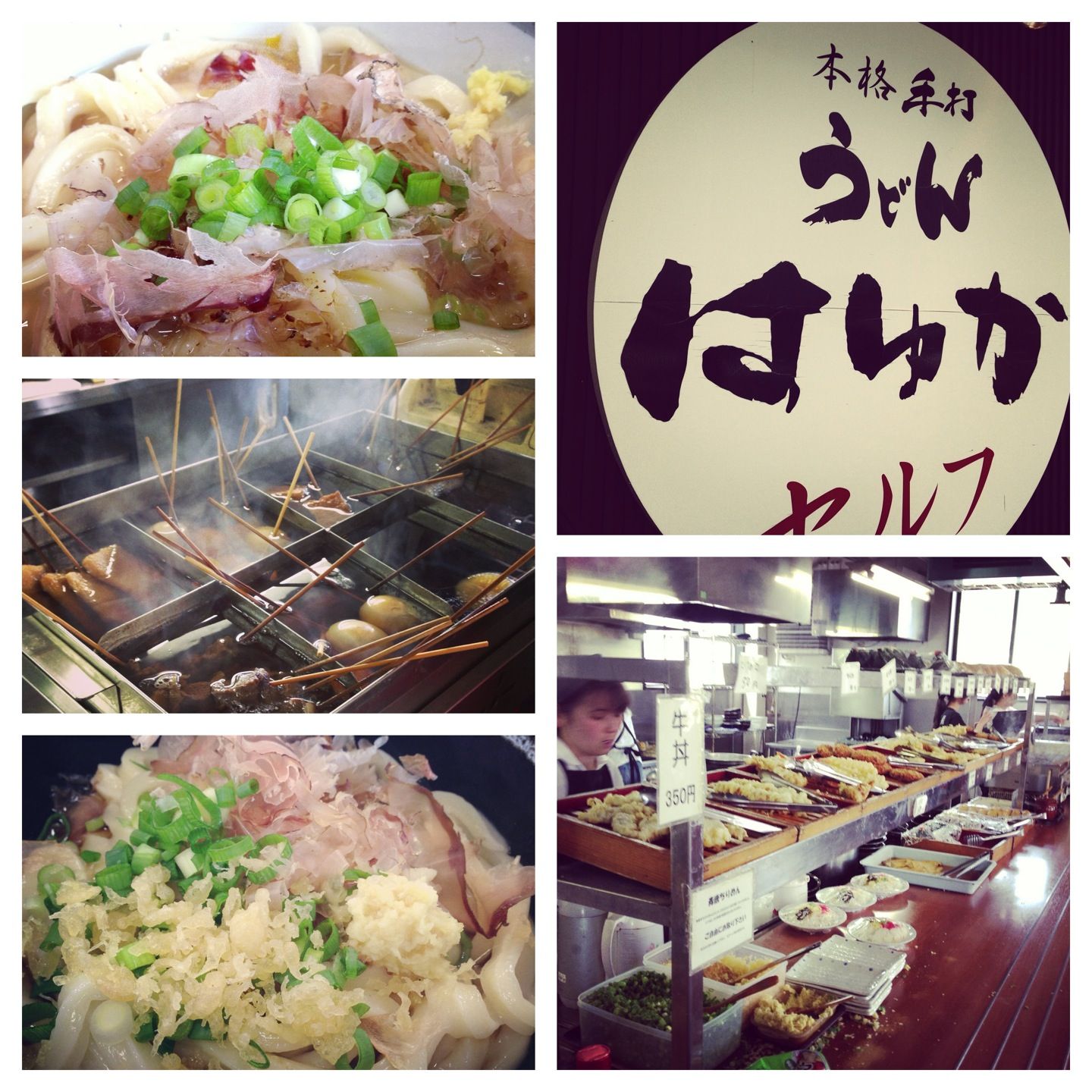 香川・綾川町で目撃した「伝説のコシ」の覚醒——行列が絶えない「は ゆか うどん」の深遠なる沼と2026年最新食文化トレンド