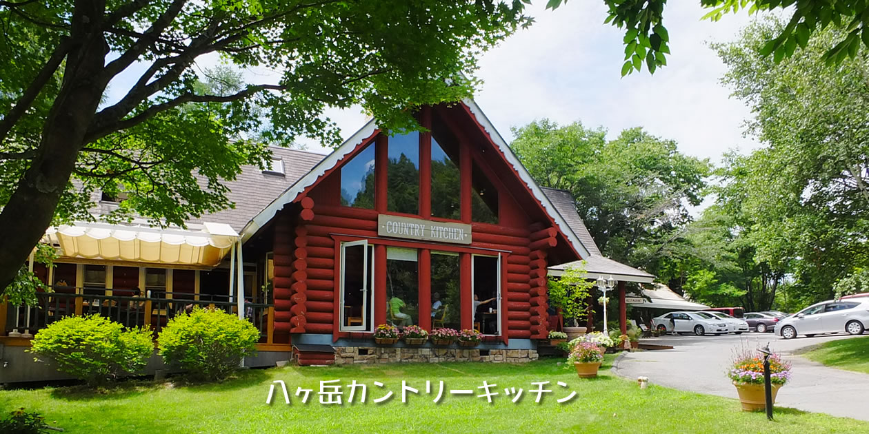 【2026最新】岩手のダンスパーティー開催情報！盛岡・花巻の日程とマナー