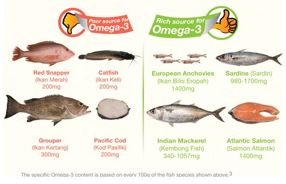 Best Fish for Low Cholesterol