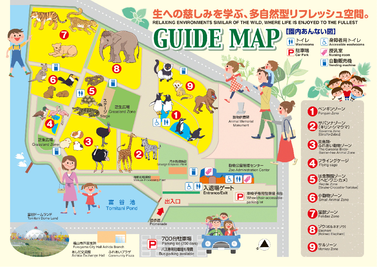 【2026年最新】福山市立動物園が今、全国から注目を集める理由！感動のアフリカゾウと未来型展示の舞台裏