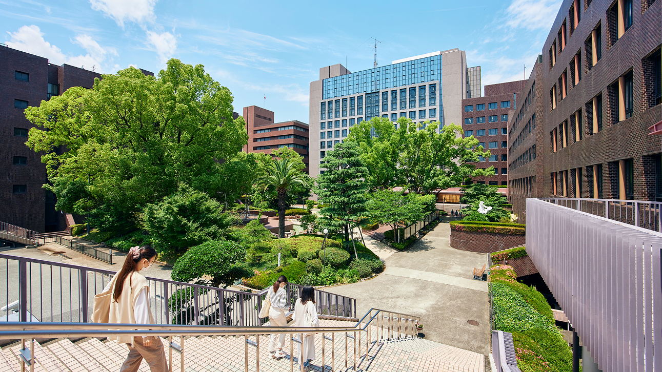 武庫川女子大学の評判はヤバい？就職実績の真価と共学化の全貌