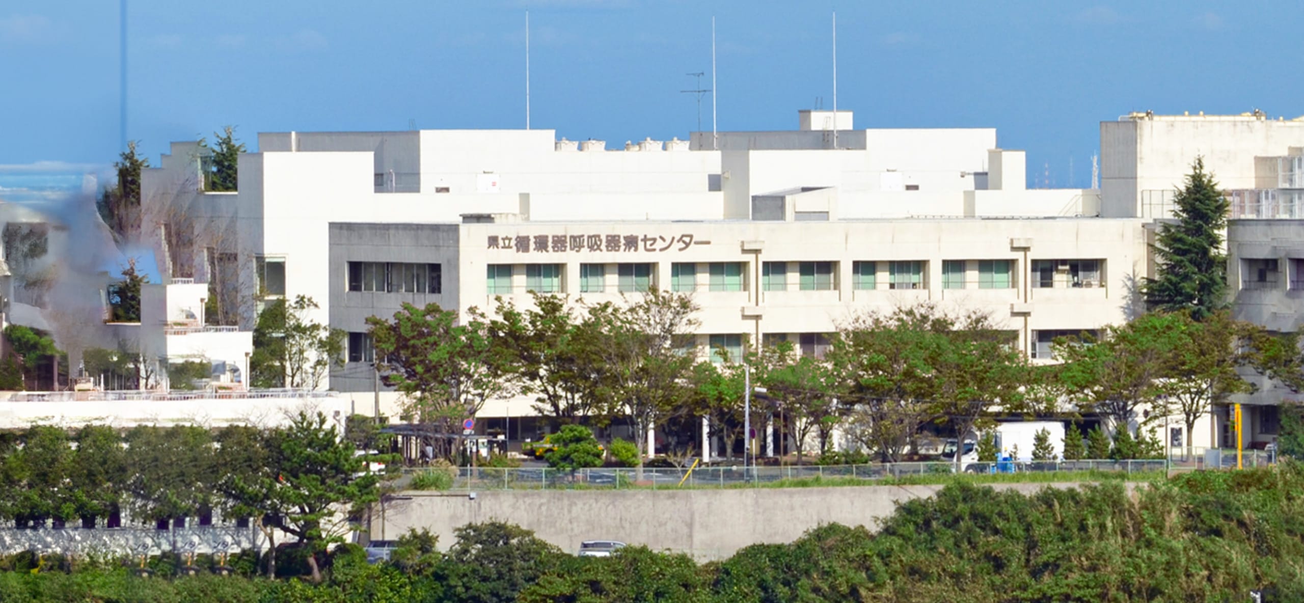 循環器呼吸器病センター受診の真実｜紹介状なしの費用と予約の盲点