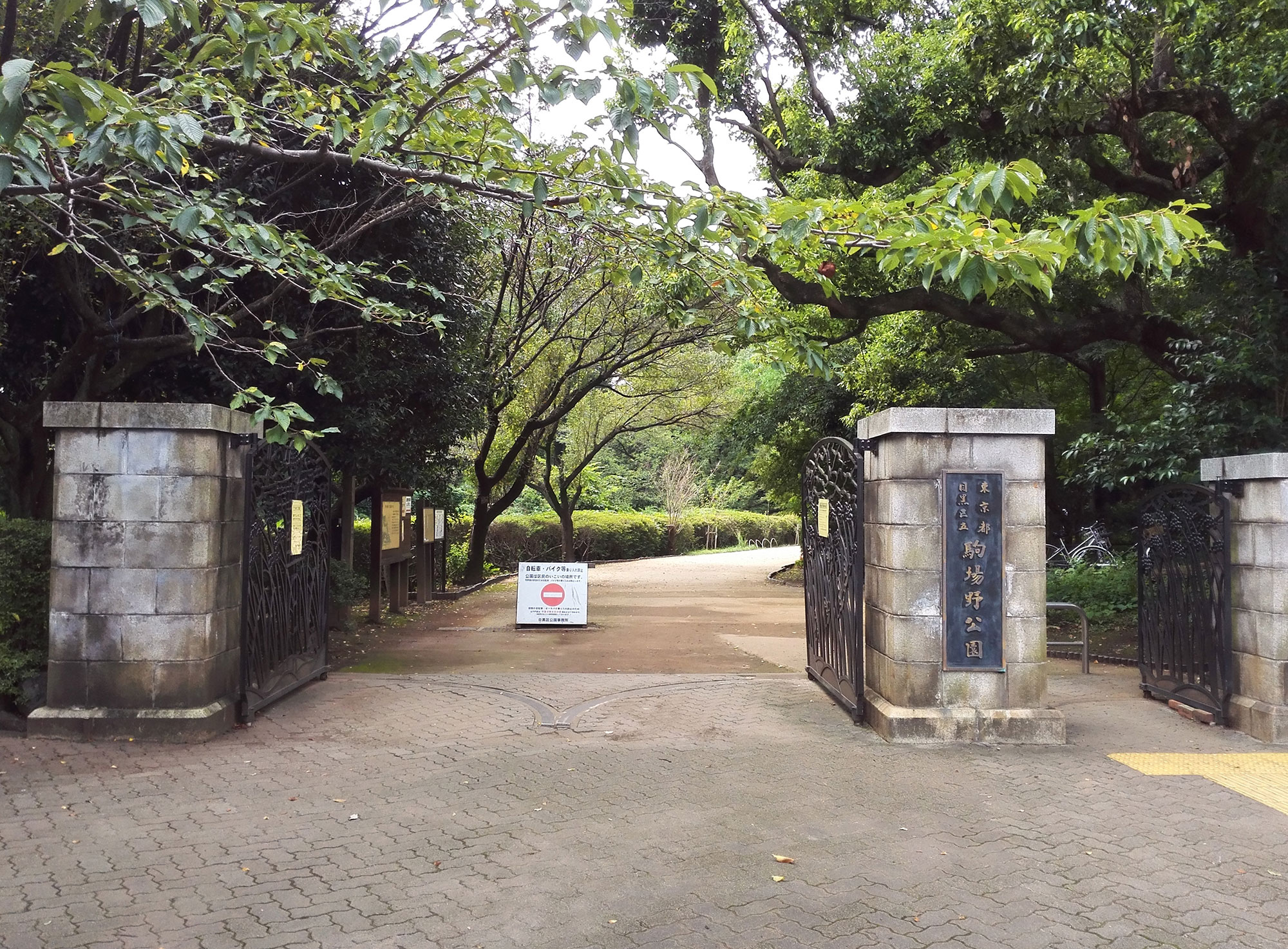 【2026年最新】都会の喧騒を離れる奇跡の緑地「駒場公園」で知る、歴史文化と四季の知られざる魅力
