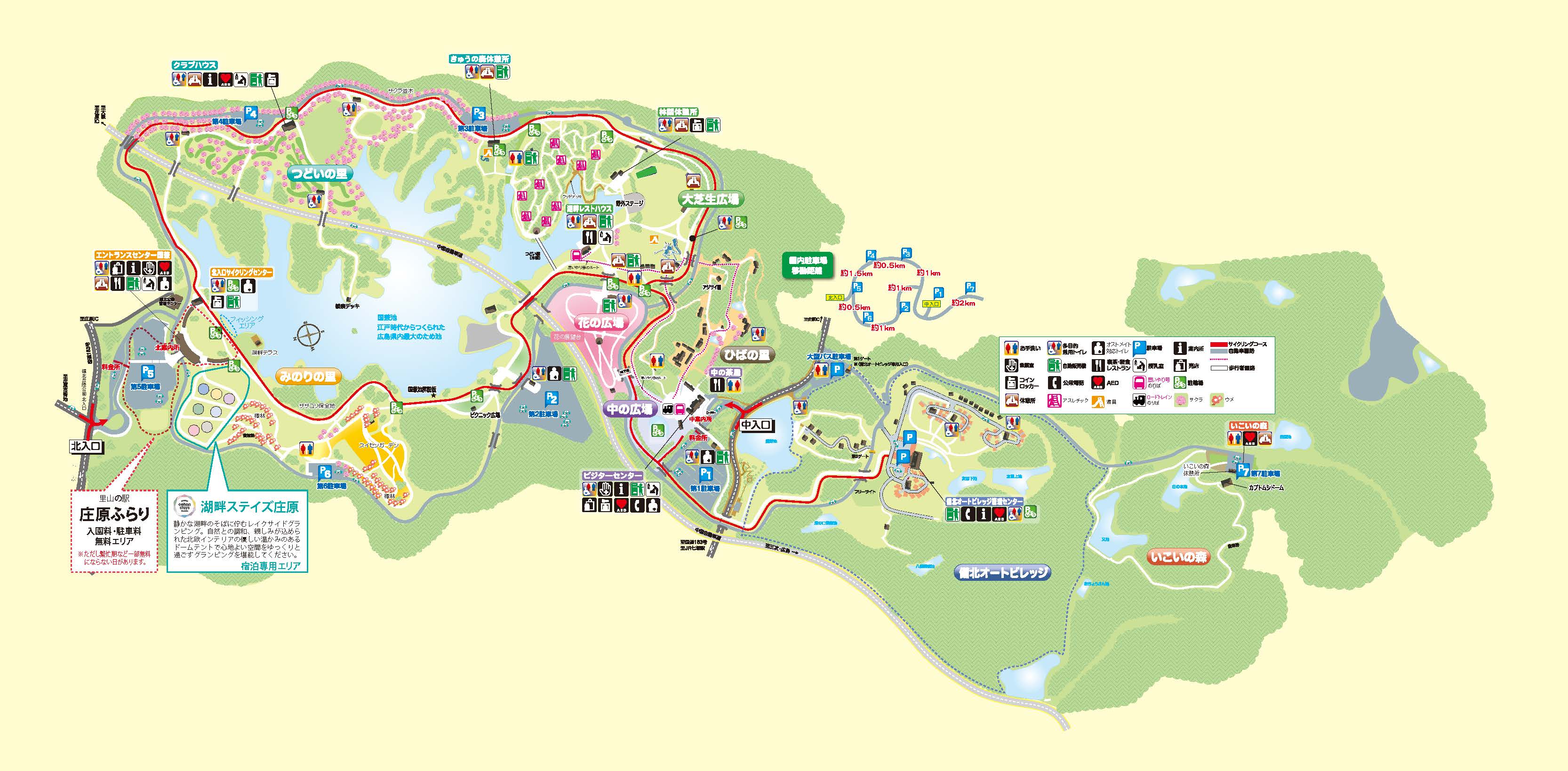 国営備北丘陵公園2026年最新攻略！花の見頃やイルミ・混雑回避術