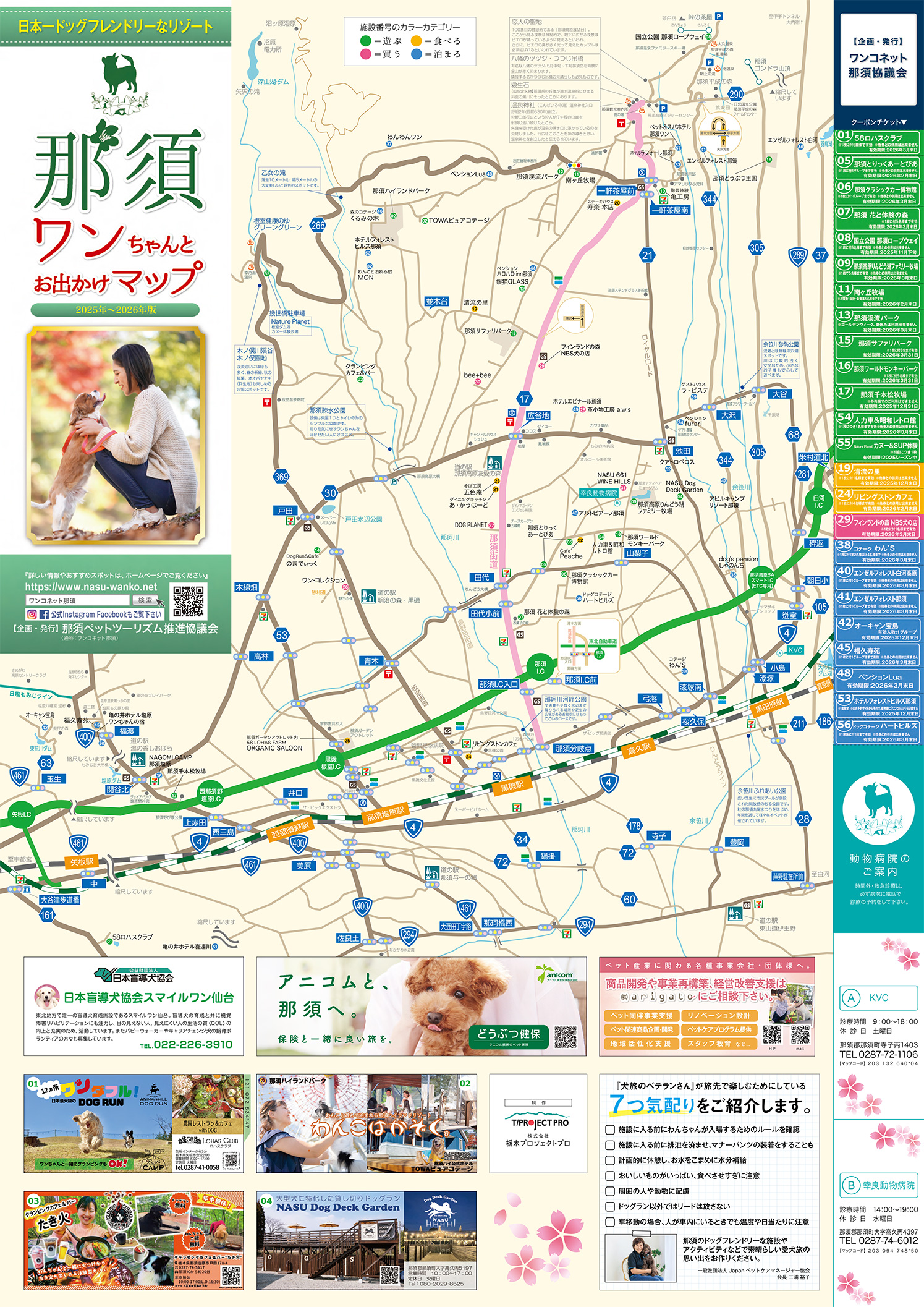 混雑を回避する独占裏ワザ！四季の絶景と夜間イルミの完全攻略