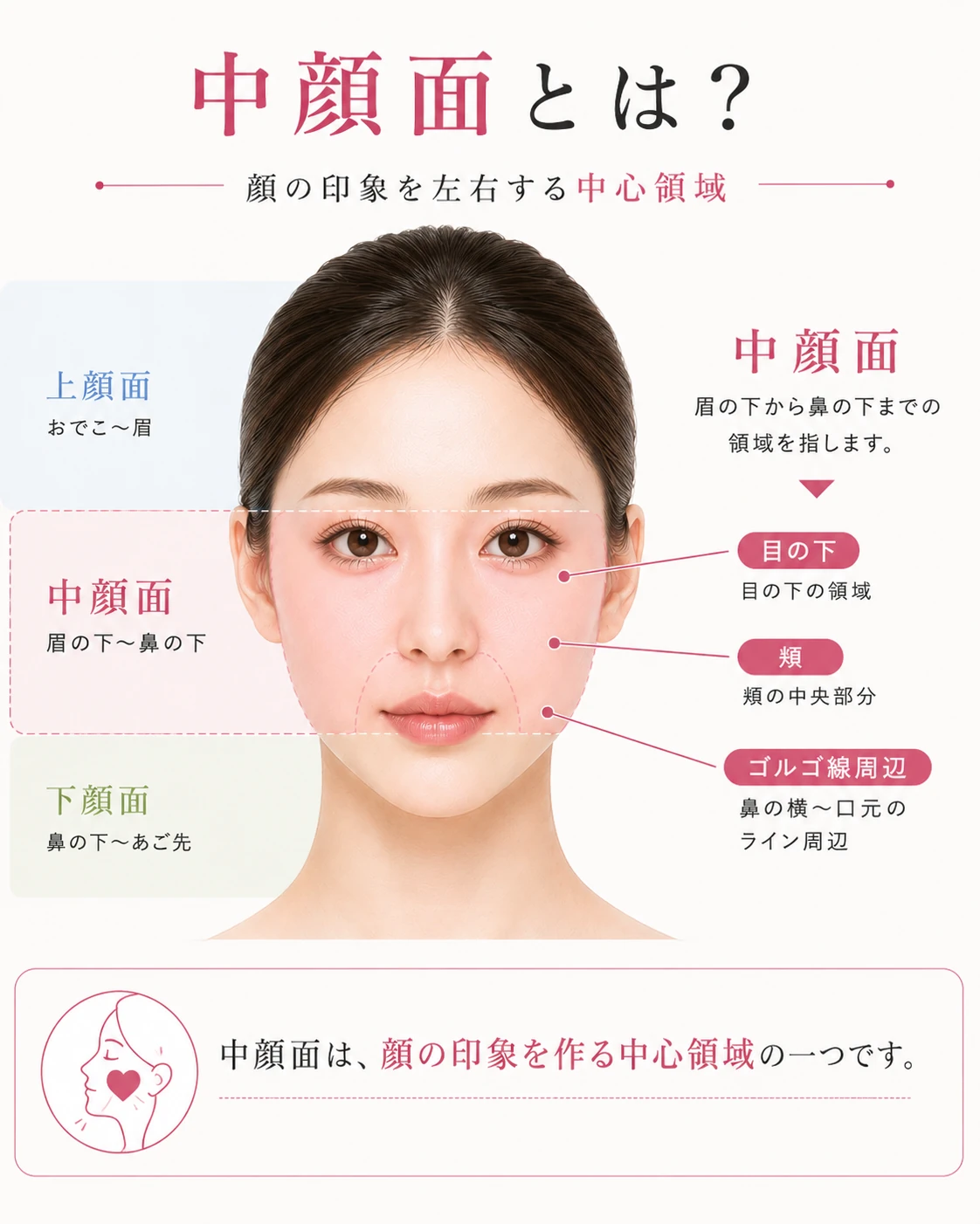 中顔面とは？どこから測るか・平均長さと短縮ブームの真相【2026最新】