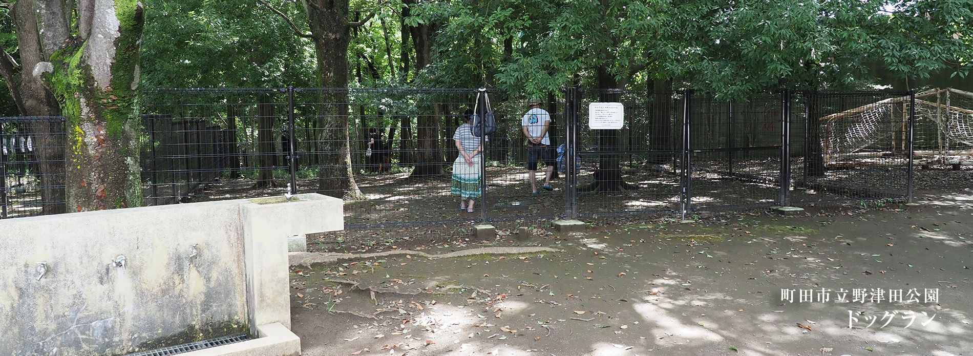 野津田公園ドッグラン完全攻略！登録方法から無料駐車場の穴場まで