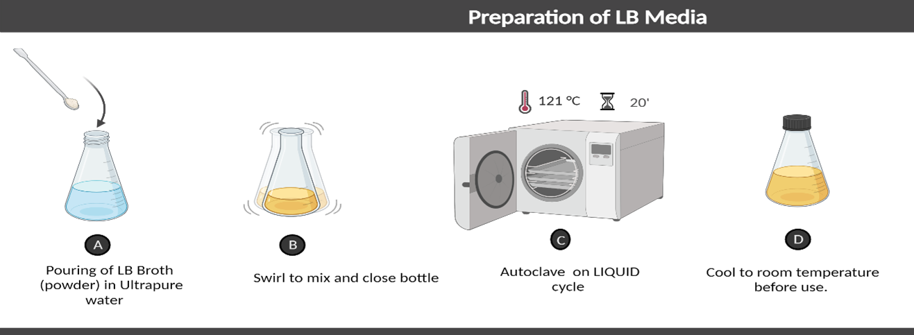 How to Make Lb Medium