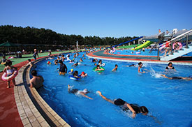 【最新】 辻堂 海浜 公園 ジャンボ プール 最新熱愛噂まとめ #693