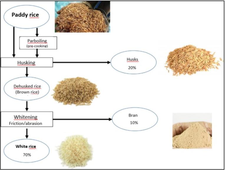What Is White Rice Made Of