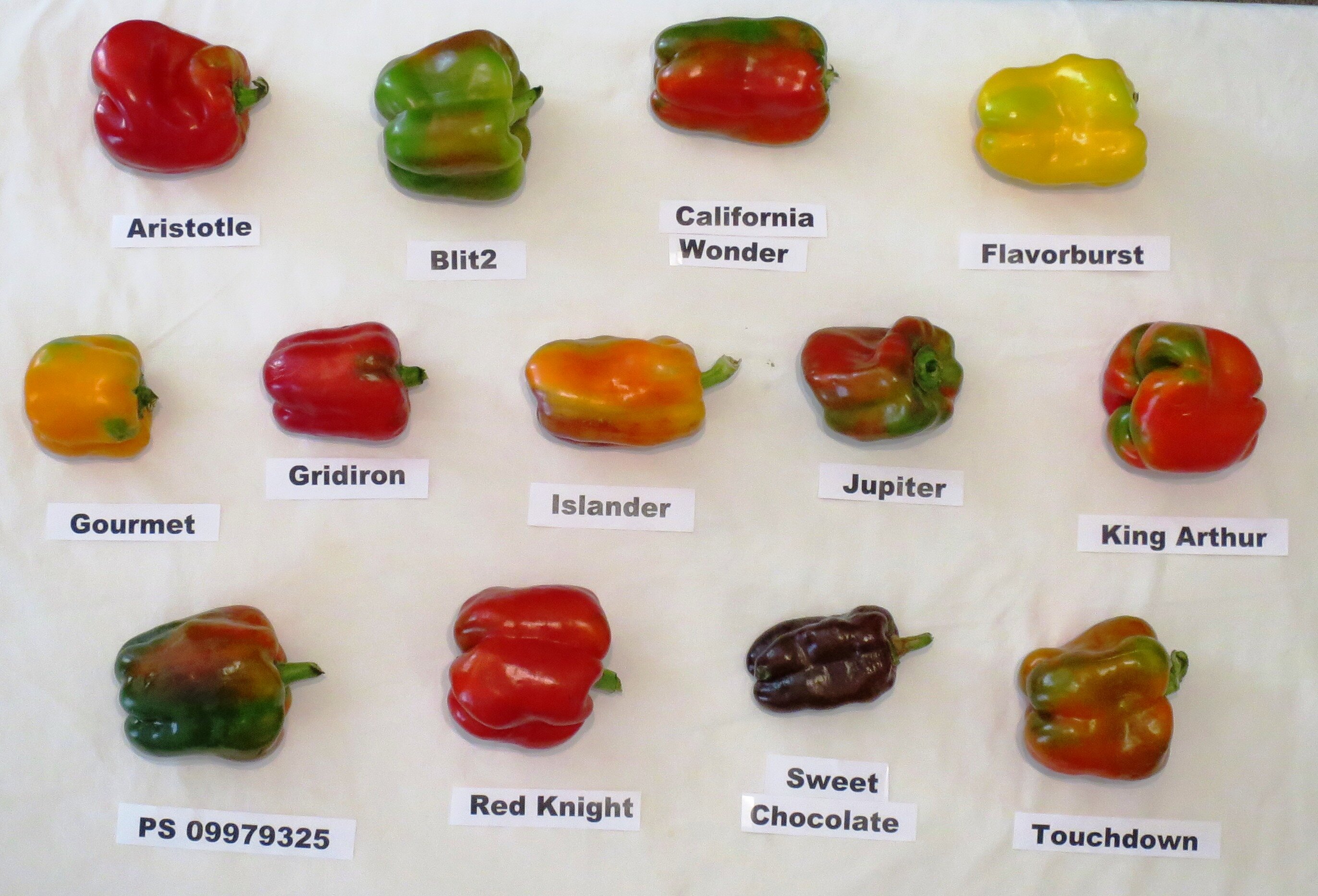Which Bell Peppers Are Sweetest
