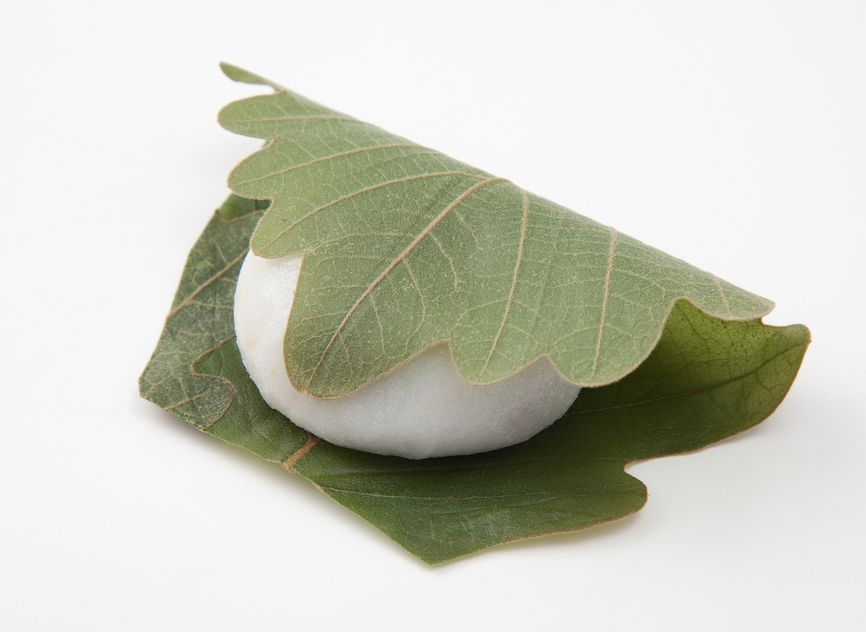 柏餅の葉っぱは食べる派？剥がす派？職人が明かす驚きの作法と真相