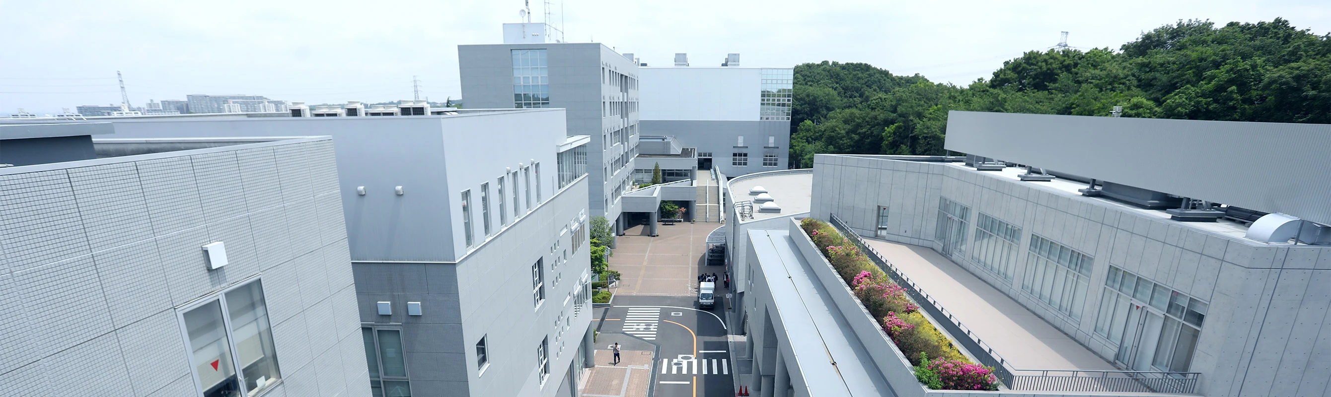 国士舘大学多摩キャンパスの評判と実態｜体育学部の拠点とアクセス検証