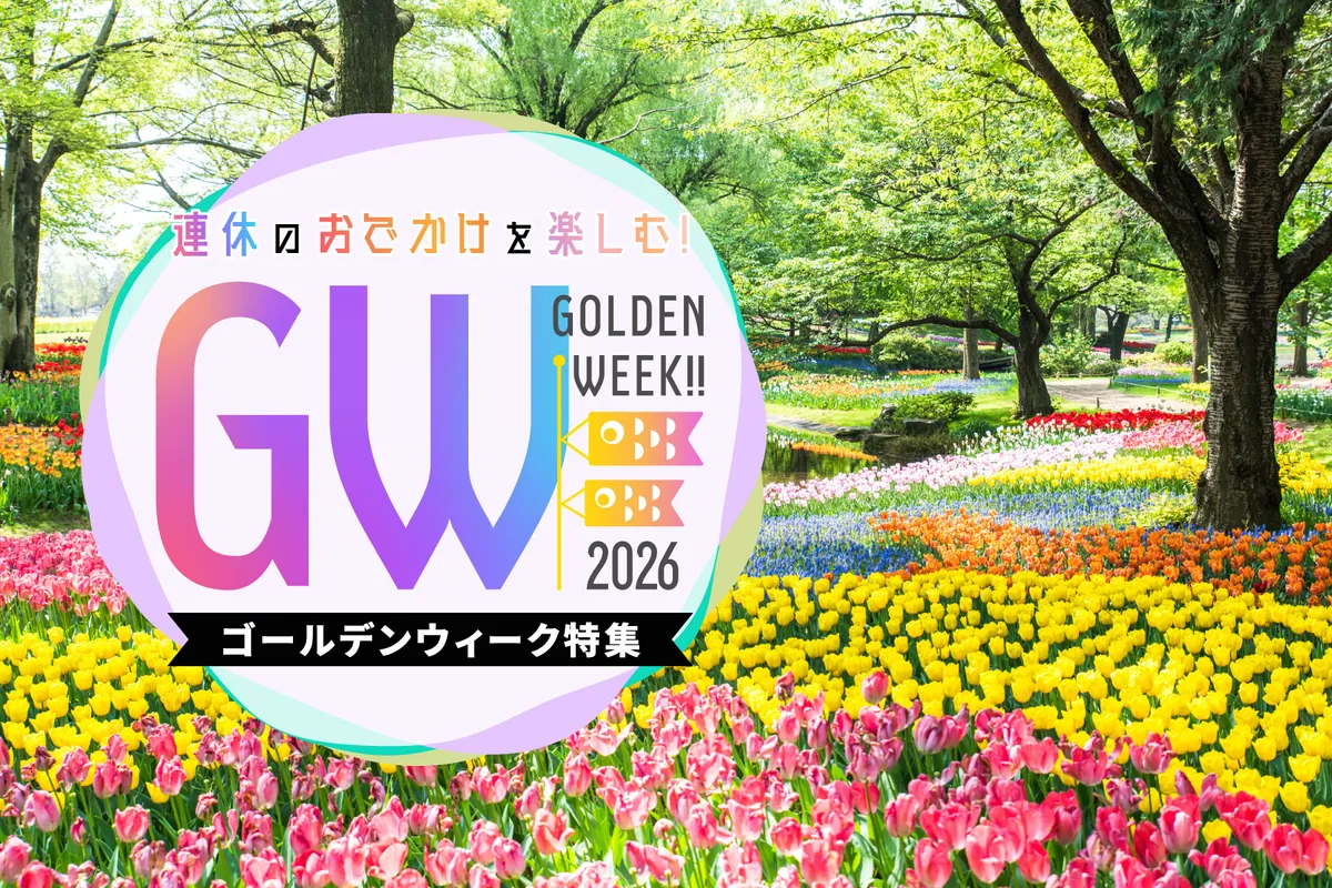 2026年、まぶたの「突然の変容」を解剖する――なぜ大人の目元は変わり続けるのか