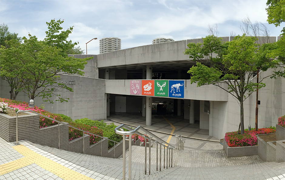 東急自動車学校の評判と合格率の真相！予約裏ワザと最短卒業プラン